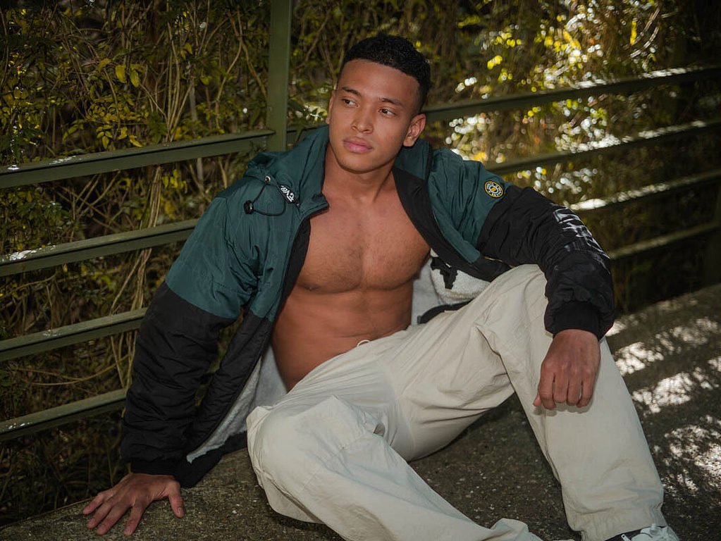 Stiven Collins