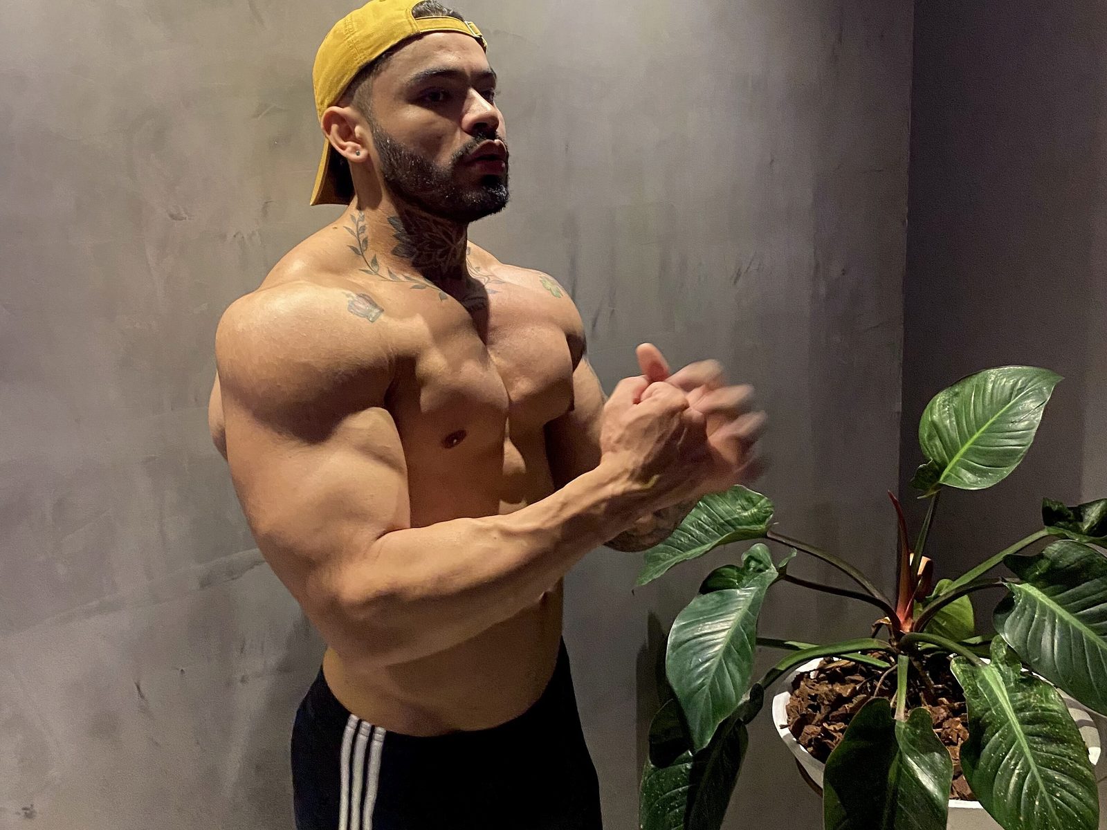 Thiago Ferrari